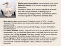 Diapositiva216