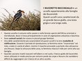 Diapositiva057