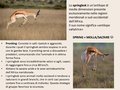 Diapositiva049