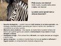 Diapositiva070