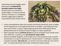 Diapositiva161