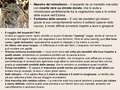 Diapositiva080