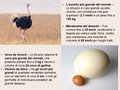 Diapositiva062