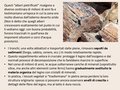 Diapositiva168